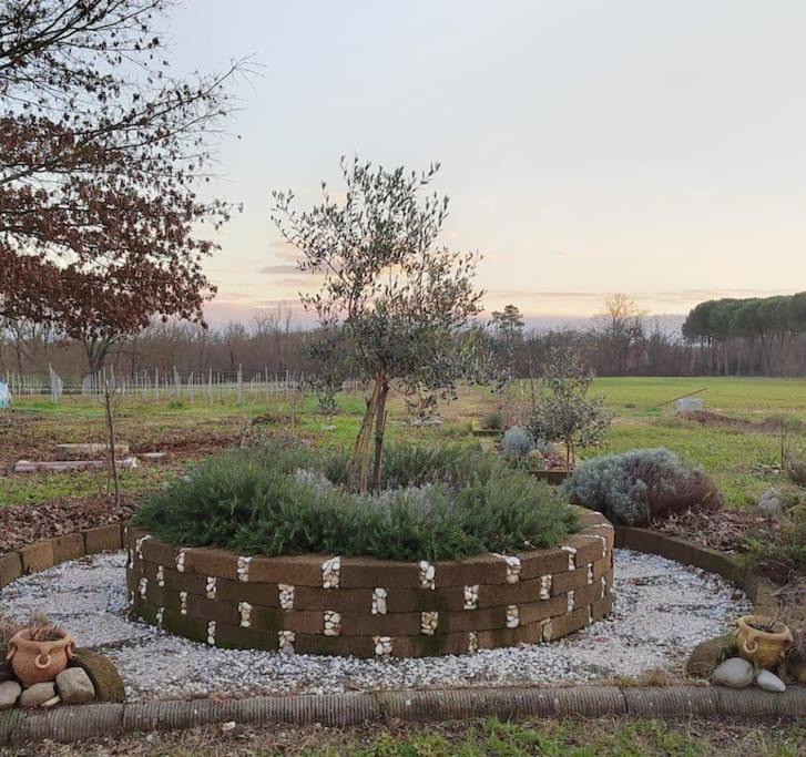 Villa Donnola: Casa Rosmarino ฟูเชคคิโอ ภายนอก รูปภาพ