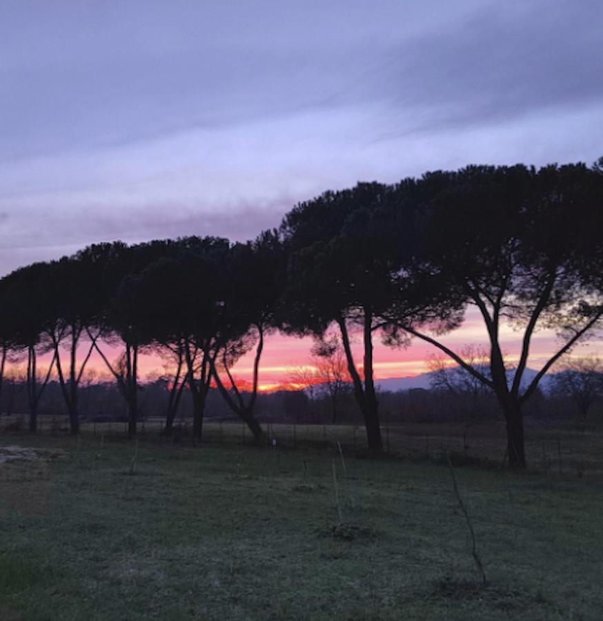 Villa Donnola: Casa Rosmarino ฟูเชคคิโอ ภายนอก รูปภาพ