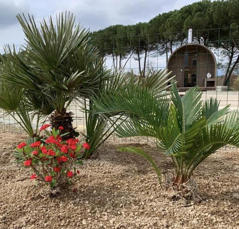 Villa Donnola: Casa Rosmarino ฟูเชคคิโอ ภายนอก รูปภาพ